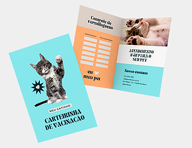 Carteirinha 18x20cm - 4x4 - 18x20 - 25unid.