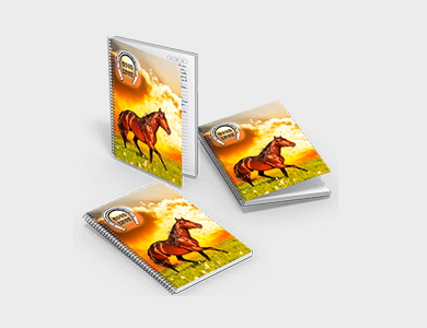 Caderno com Wire-o Capa Maleável 20x27,5 180 folhas 4x0 Supremo - 4x0 - 3 unid