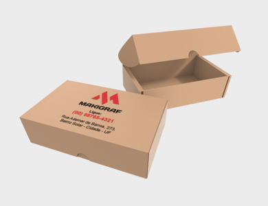 Caixa de Papelão Personalizada 300 - 2 L para 500 Cartões de Visita - 4x0 - 1000 unid